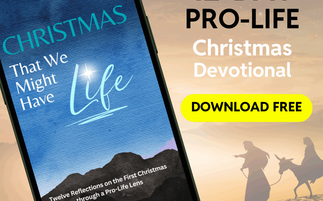 Book List Building 2